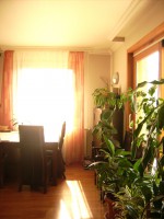 /album/fenykepgaleria/nappali-2-jpg1/